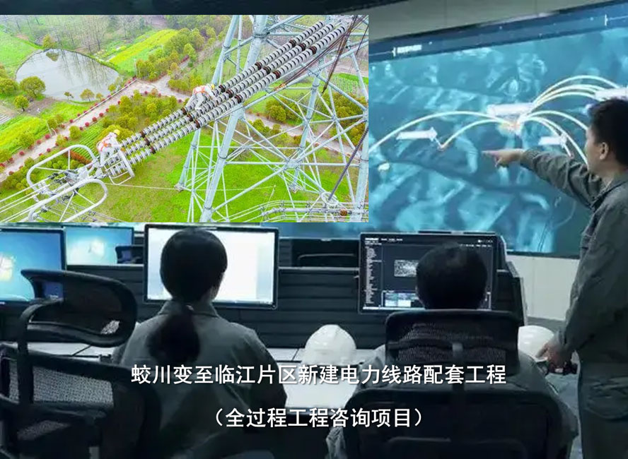 蛟川变至临江片区新建电力线路配套项目（全过程工程咨询项目）